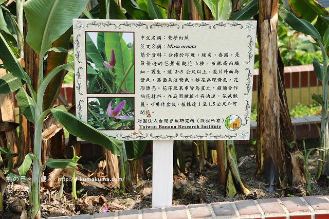 台灣香蕉科技園-0561
