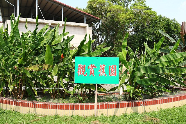 台灣香蕉科技園-0575