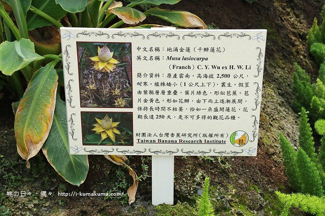 台灣香蕉科技園-0592