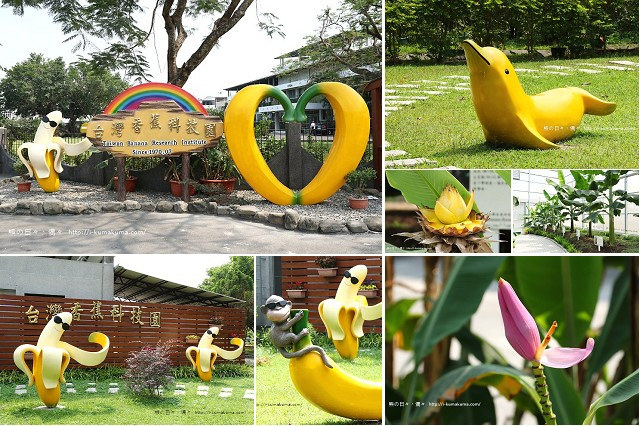 台灣香蕉科技園-0401