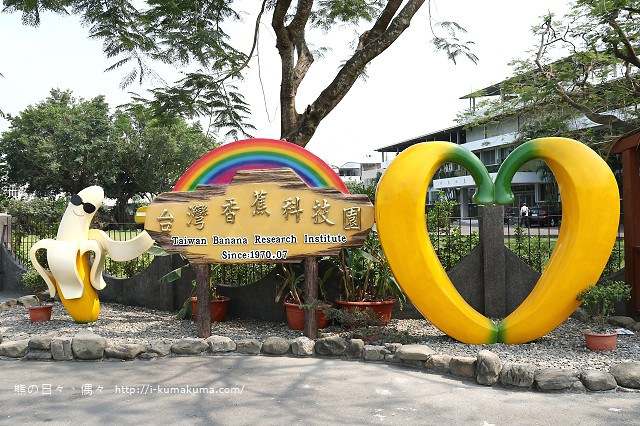 台灣香蕉科技園-0620